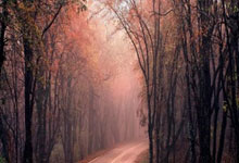 梅西豪赌！力邀“齐达内接班人”加盟迈阿密，曼联尤文弃将成最后拼图？.