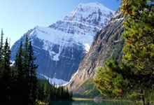 状态堪忧！东契奇上半场9投2中，命中率仅为22.2%.